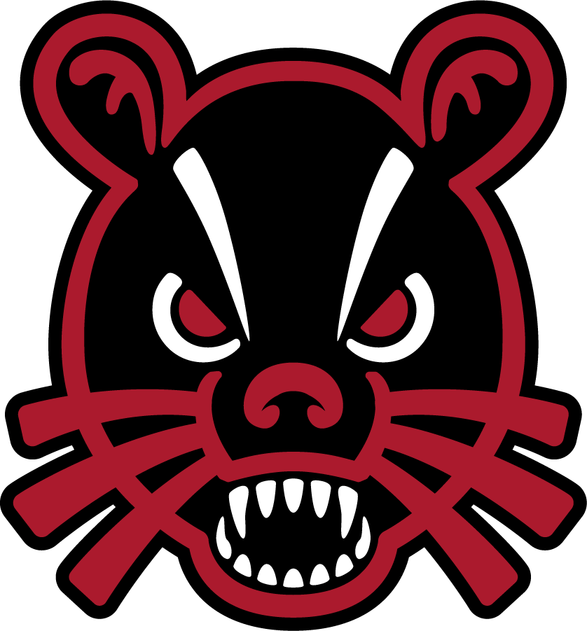 Cincinnati Bearcats 2018-Pres Secondary Logo DIY iron on transfer (heat transfer)